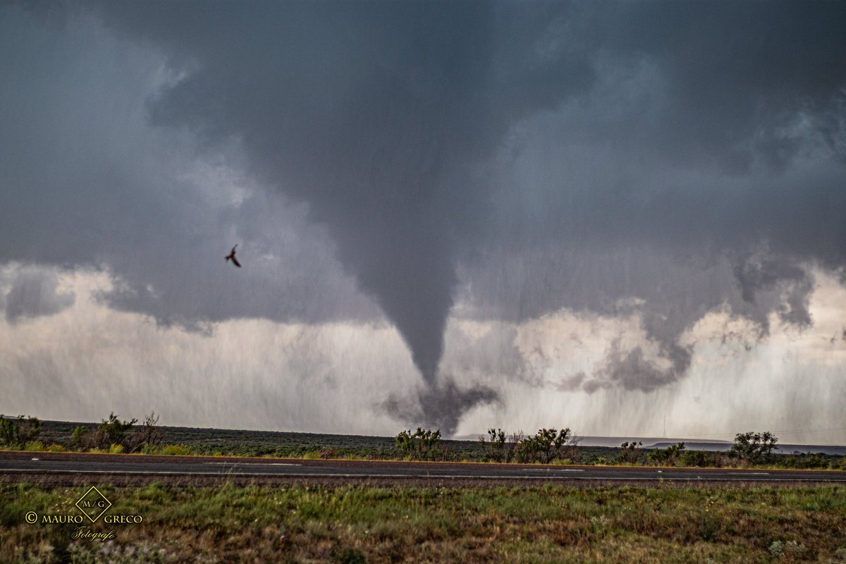 Stormchaserit's tweet photo. June 2 2023 Tornado Fort Stockton Texas
#tornado #tornadotour #storm #stormchaser #stormchasers #thunderstorm #cacciatoriditornado #wallcloud #supercell #clouds #earthescope #sky #inflowtail #severethunderstorm #temporale #maltempo #travelphotography #meteoestremo #txwx https://t.co/wJLk6QelkU