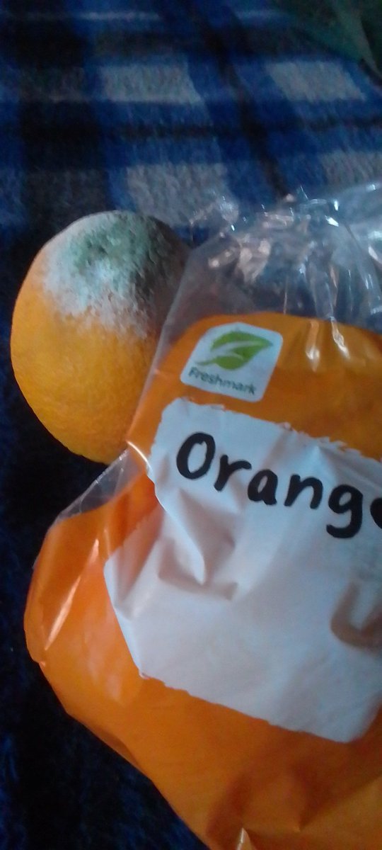 lechinadavid's tweet photo. @Shoprite_SA what a waste of my money. Rotten oranges I bought yesterday from your store. I opened them today and this. 😟R8 pack https://t.co/uDJk0Qr0aO