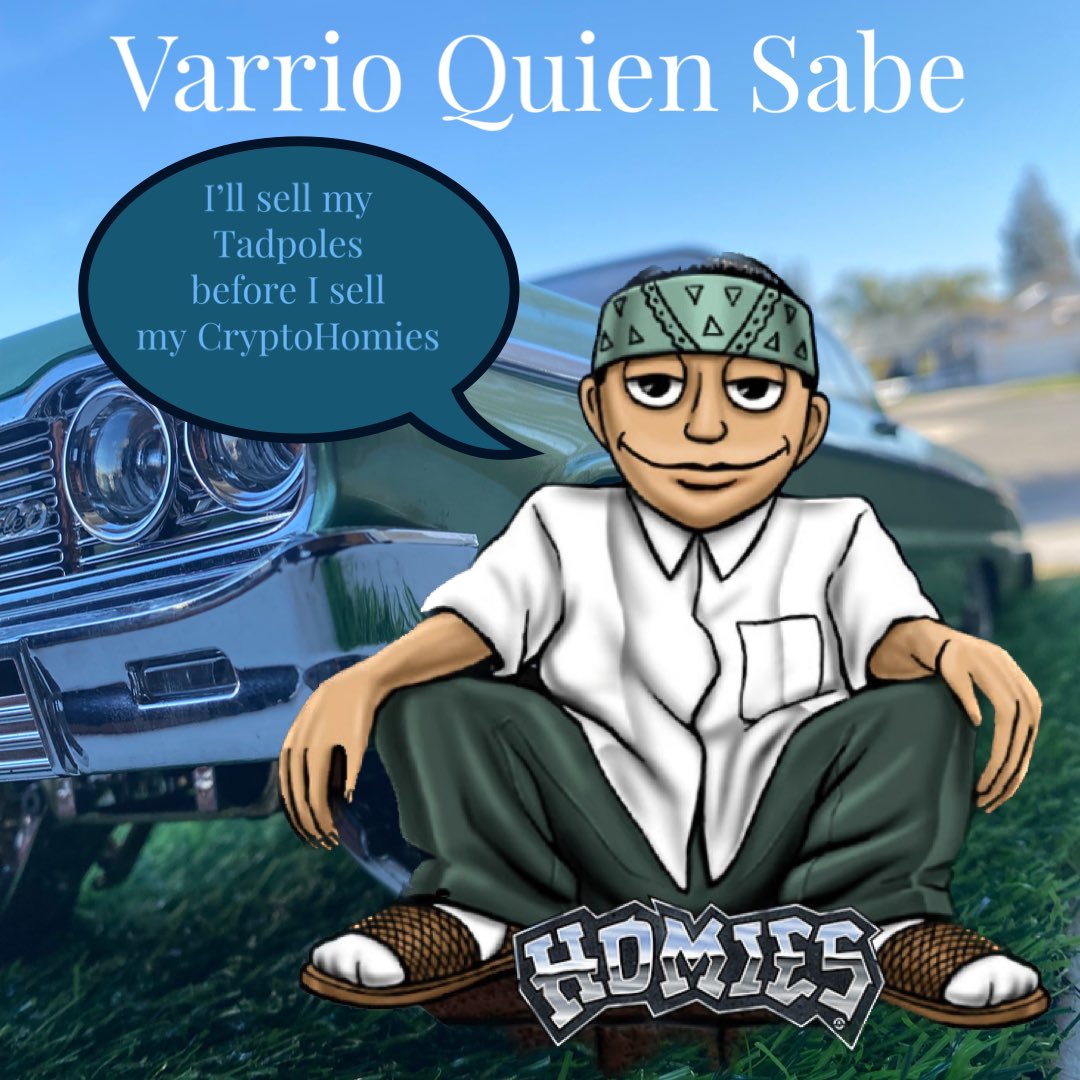 Chip Dogg tweet media