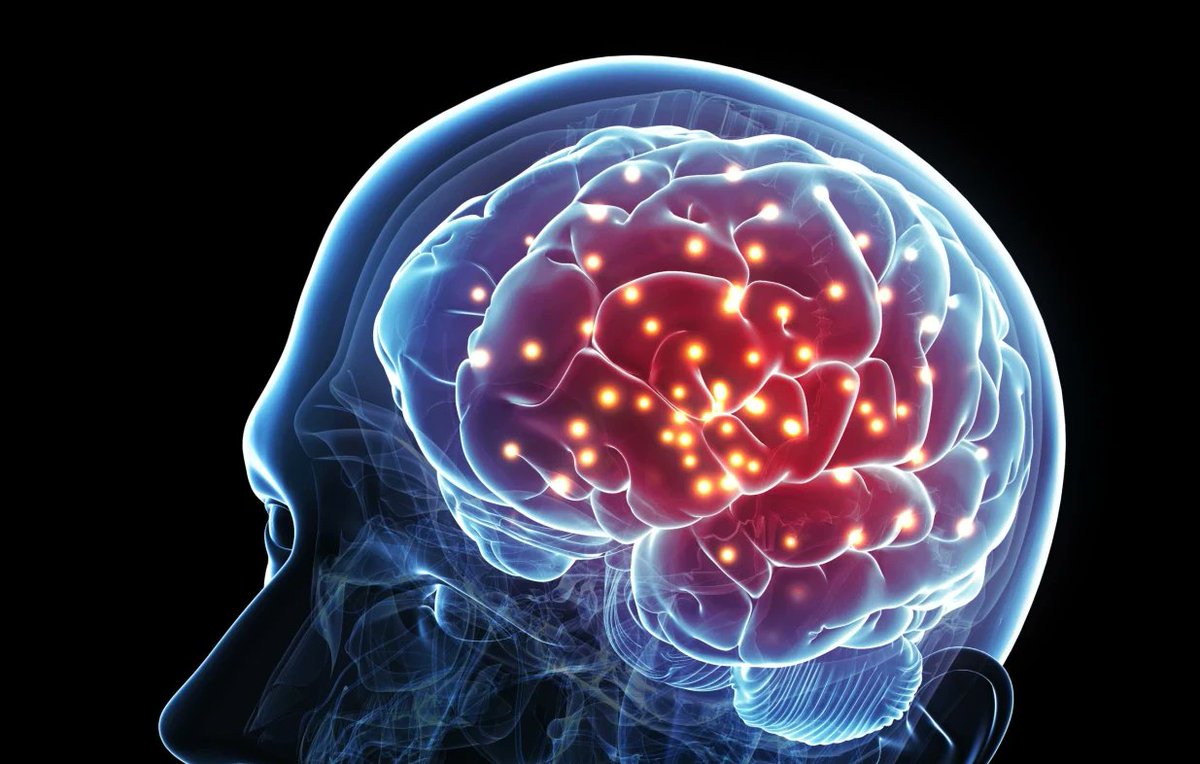 guydoyenfr's tweet photo. Cerveau : le mythe des 10% https://t.co/NbpfLiCeE8 #Neurones https://t.co/n96kk1y01D