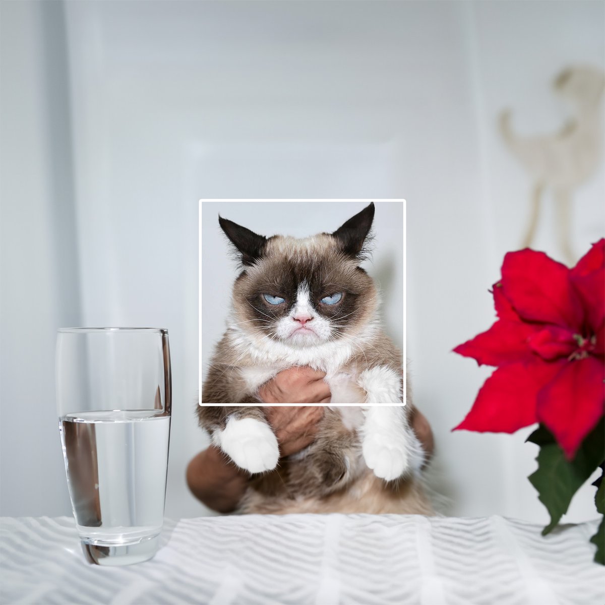 Insertzs's tweet photo. Generative Fill is a new feature gifted by Adobe's creative generative AI model, Firefly. 

It allows users to easily add, extend, or remove content from images non-destructively using simple text prompts. 

#AdobeAI #GenerativeAI #PhotoshopFeatures https://t.co/3jQ12jhZ9D