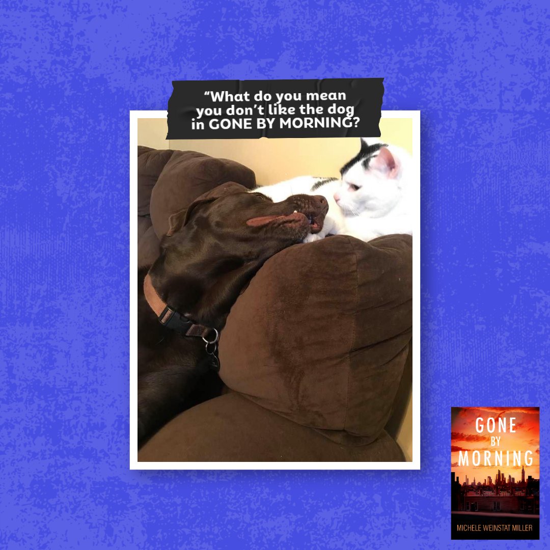 Do not believe the cat! 

Believe the dog & the readers who gave “GONE BY MORNING” a 4.5 ⭐️ average.

“Mary Higgins Clark with teeth” —Kirkus Review

Get it s.ripl.com/spz0mt

#cats #dogs #catsoftwitter #suspense #thriller #caturday #Caturday #booktweet