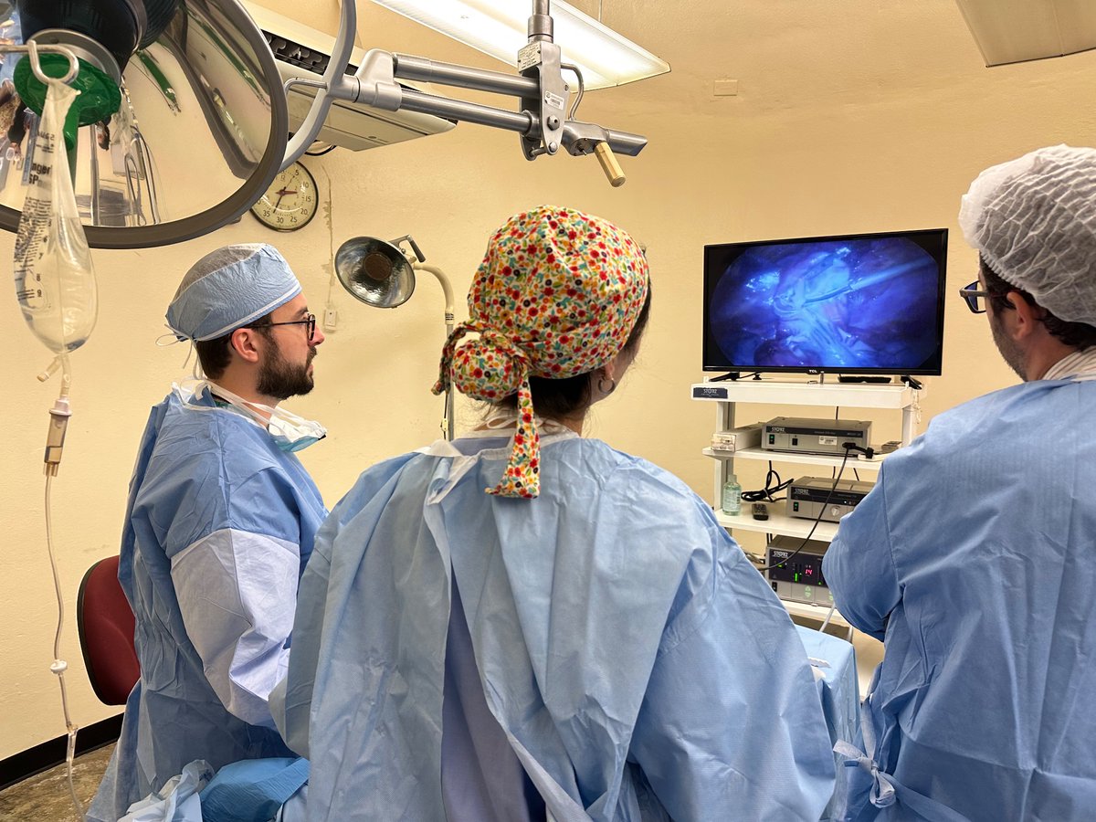 General Surgery UPR tweet media