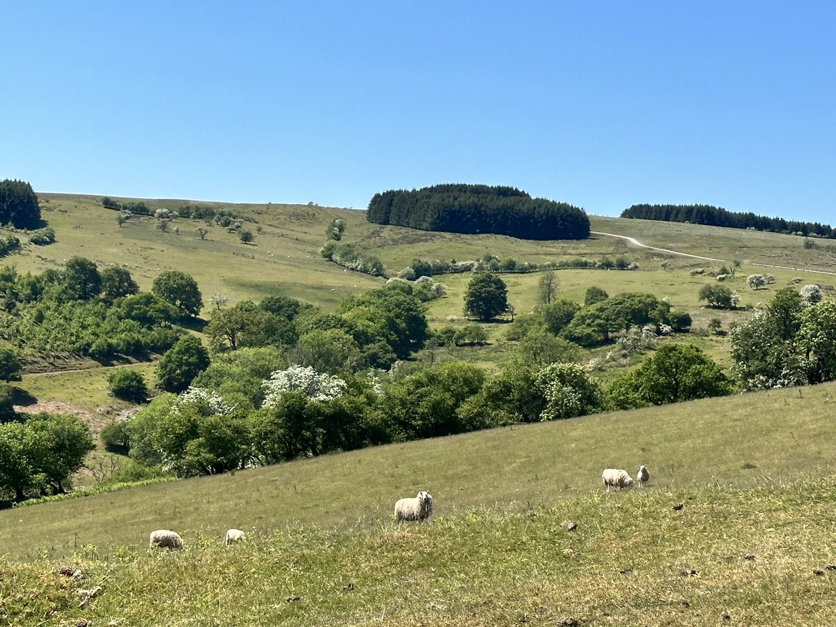 Lawrence M. Krauss tweet media