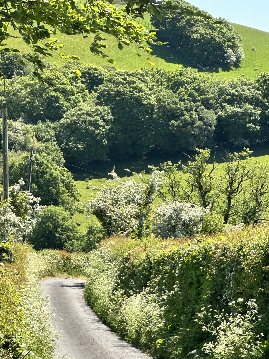 Lawrence M. Krauss tweet media
