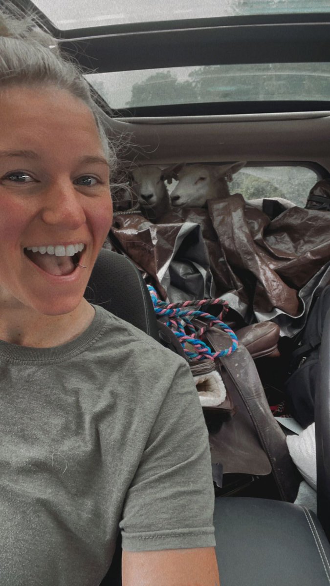 🖤keystone fur mom🖤 tweet media