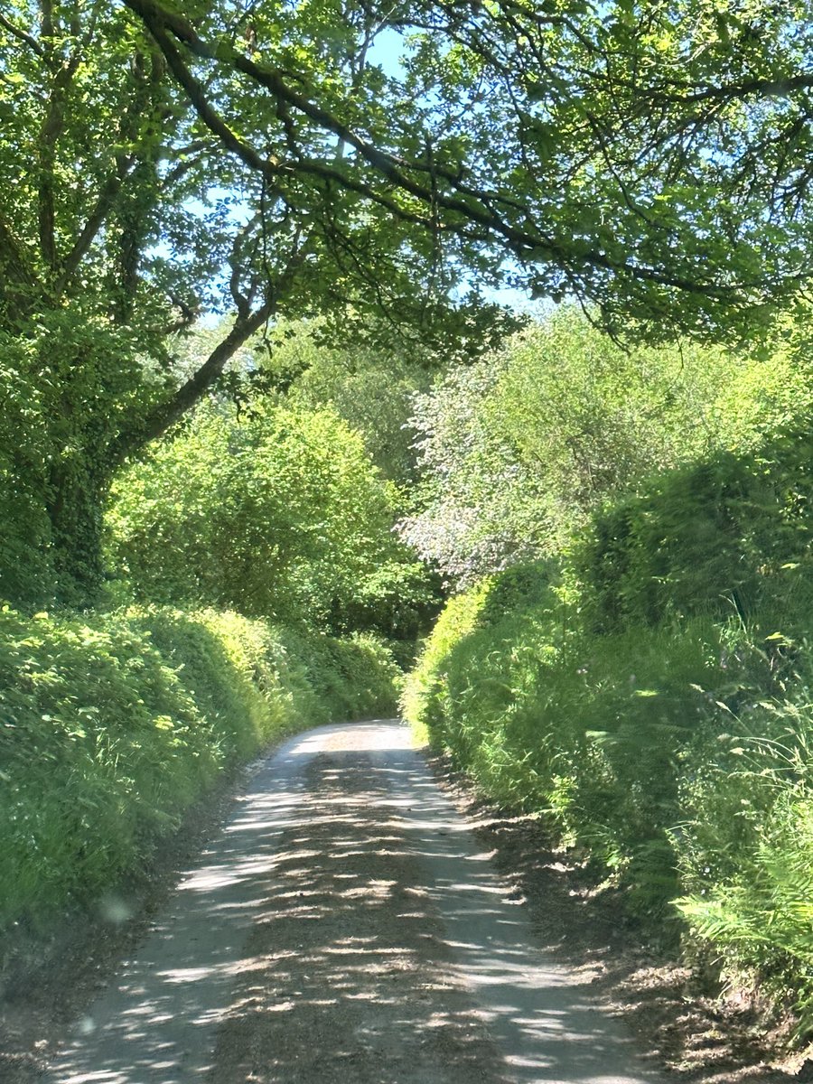 Lawrence M. Krauss tweet media