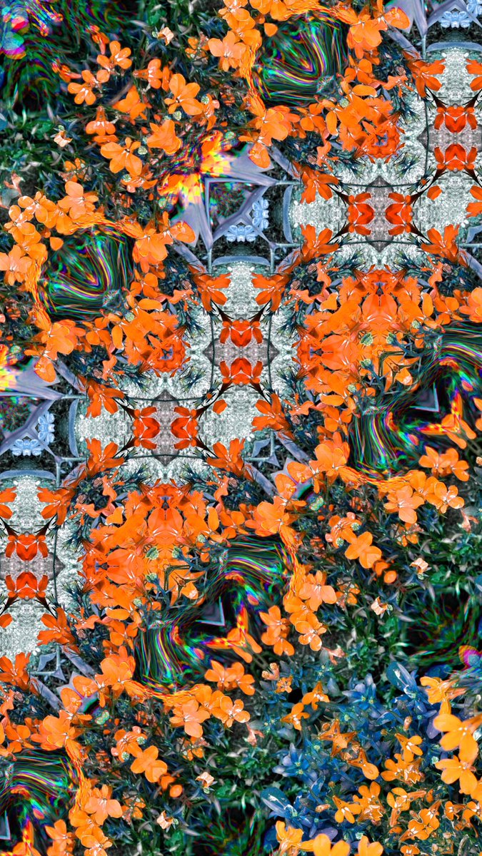 Kalado study
