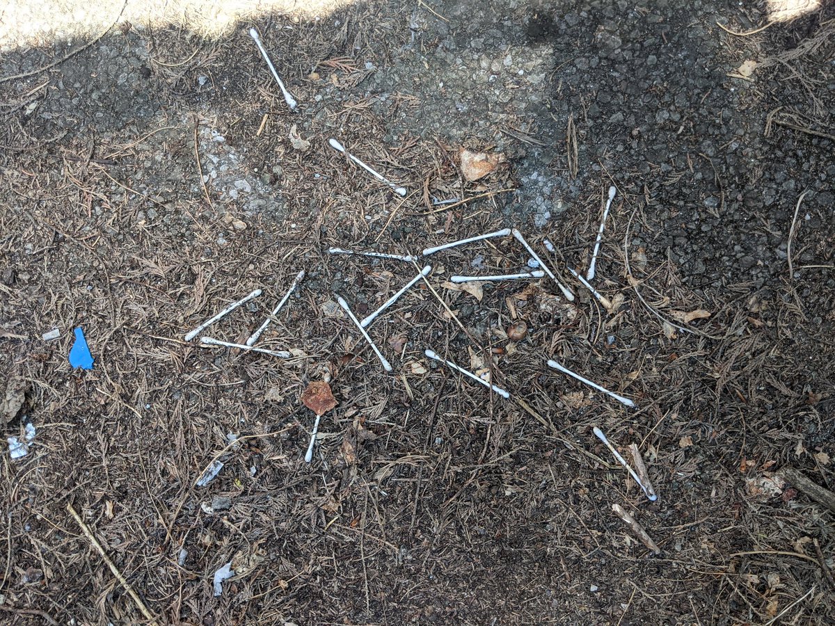 EricTorrington's tweet photo. Today's #litterpick was a tale of #sun & shade of a #stinchcombe hill woodland trail I've not done for awhile. #Littered woodland dens, fly-tipped lanes, golf club coffee & carpark cotton bud graveyard. Supporting @KeepBritainTidy @DursleyTC https://t.co/VvFCLgNCCN