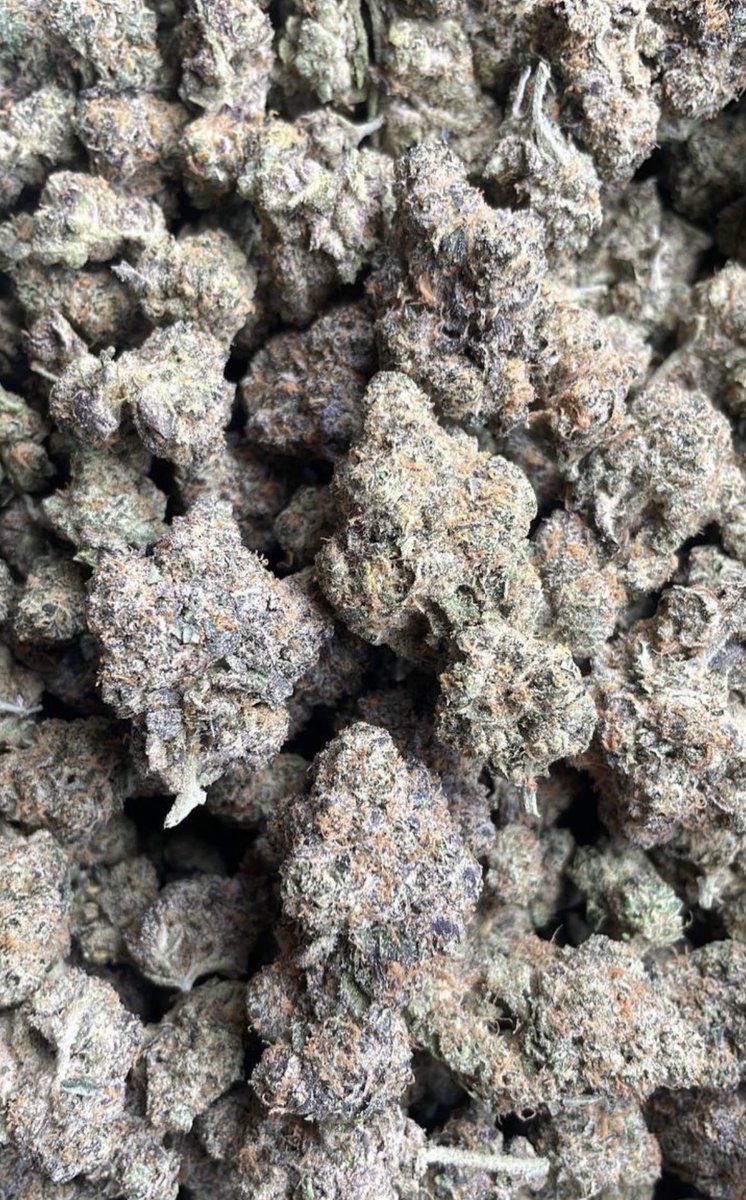 Fierceraul's tweet photo. Best strains available not that cheap shit everyone else has real cali smoke #houstonweed 
#houston 
#weed https://t.co/oHGc3Zkoxq