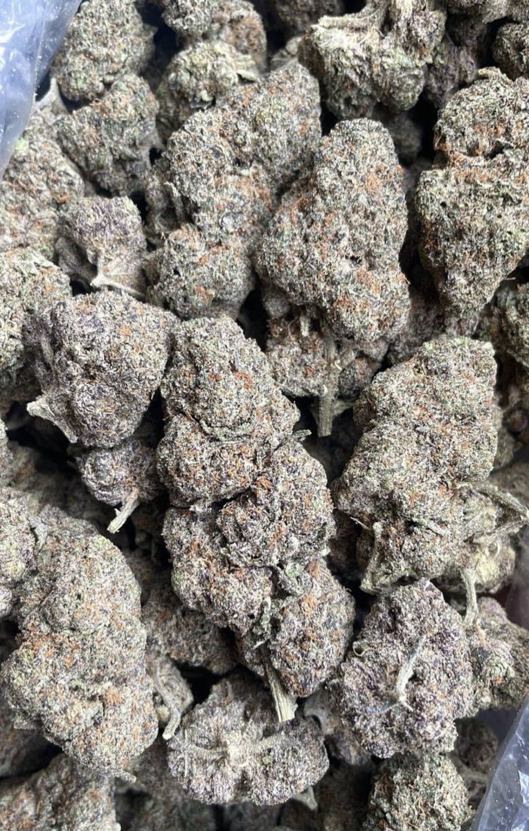 Fierceraul's tweet photo. Best strains available not that cheap shit everyone else has real cali smoke #houstonweed 
#houston 
#weed https://t.co/oHGc3Zkoxq