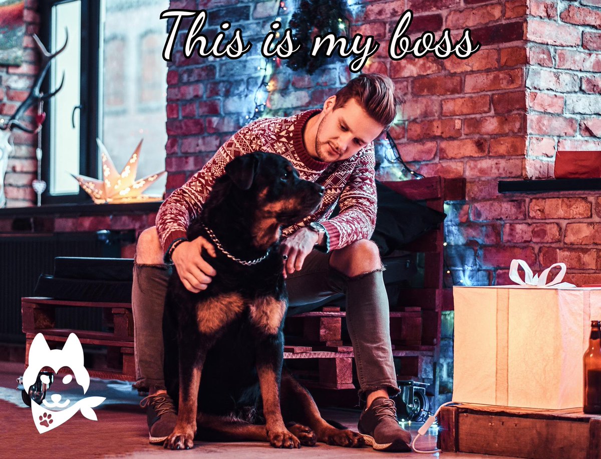 2bpaws's tweet photo. 🐾 Did you know? Rottweilers are highly intelligent and versatile! 🐶💡 They excel in obedience training, search and rescue, and police work. 🏅🔎👮‍♀️ Spread the word about these amazing pups! 🌟🐕 #Rottweilers #Intelligence #VersatileDogs https://t.co/qSgsvOgiXh