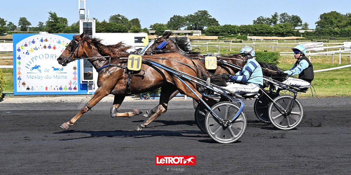 📜 𝟰𝟴𝗵 𝗮𝘂 𝗧𝗿𝗼𝘁 - 𝗟𝗲𝘀 𝗖𝗼𝘂𝗿𝘀𝗲𝘀 𝗮𝘂𝘅 𝗘𝗻𝗰𝗵𝗲̀𝗿𝗲𝘀
🏆 Prix Certivet 

🥇 Jolie Smart
🥈 Jappelou
🥉 Jezabel Jenilou

🤝 L'ensemble des chevaux seront à vendre aux enchères après les courses, en partenariat avec Arqana Trot