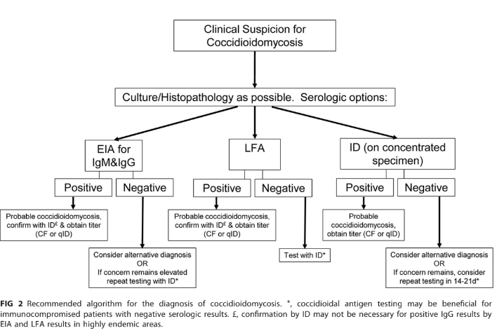 Review of Clinical and Laboratory Diagnostics for Coccidioidomycosis by Ian McHardy @DrValleyFever & @GRThompsonMD  
J Clin Micro @ASMicrobiology

Added by Marwan Azar @YaleMed @TxDiagnosticCOP to 'Fungal DIagnostics' & 'Endemic Mycoses' 📂

transplantid.net/I7XY3DM2