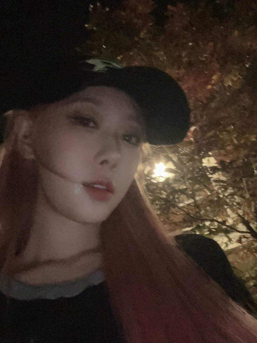 hndmsg's tweet image. 🐱📸