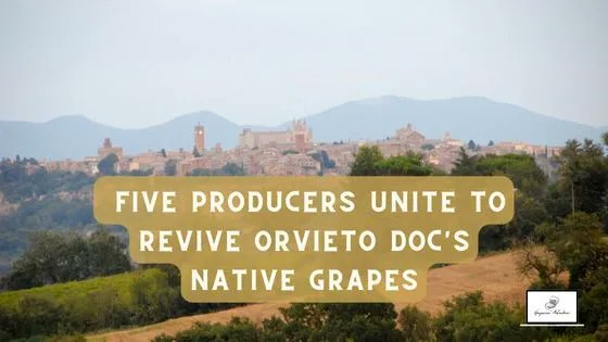 ricasoli99's tweet photo. Hi everyone, it's great to host the #italianfwt chat this month.
I am Katarina
See the link to my article about #OrvietoDOC below.
https://t.co/So9PgQ2dZD https://t.co/BkwnYde4uD