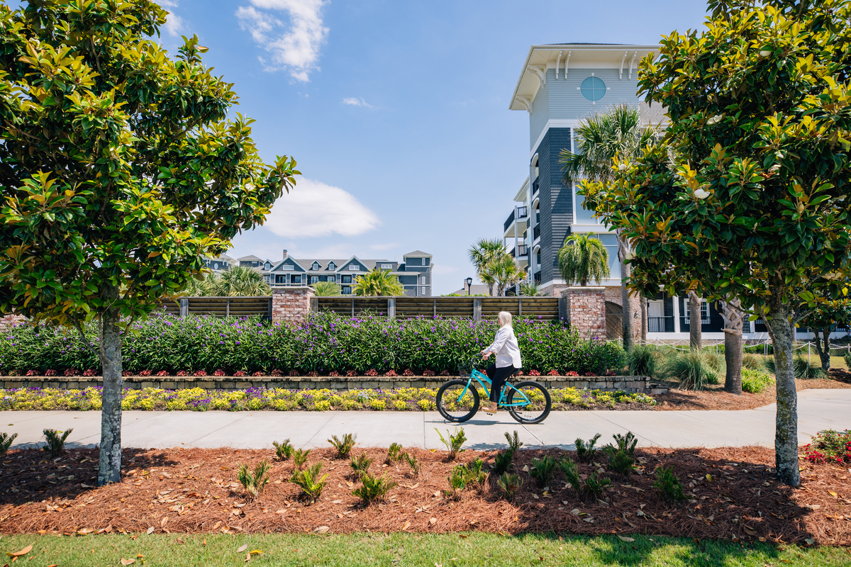 The wheels on the bike go round and round, taking you to new sights and sounds of Old Scenic Highway 98. #WorldBicycleDay