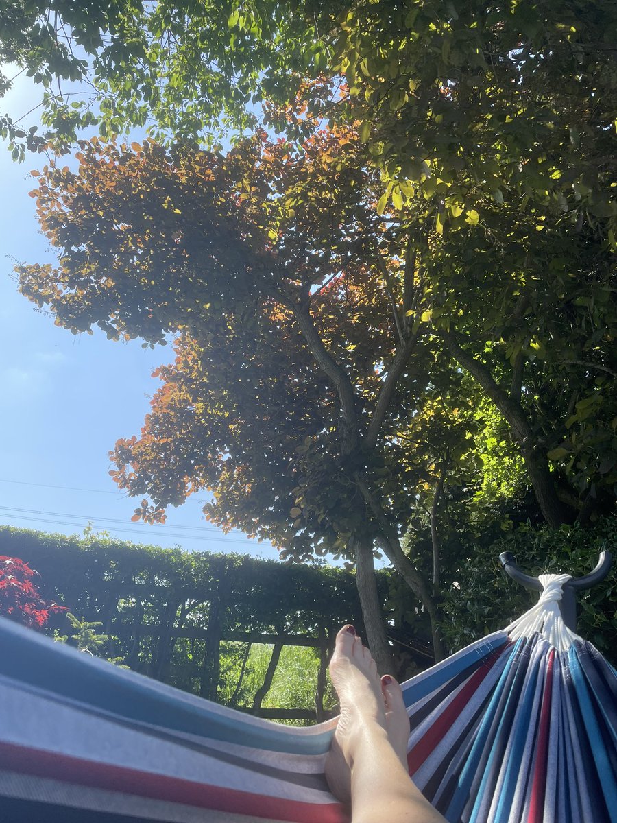 #hammocklife 😊
