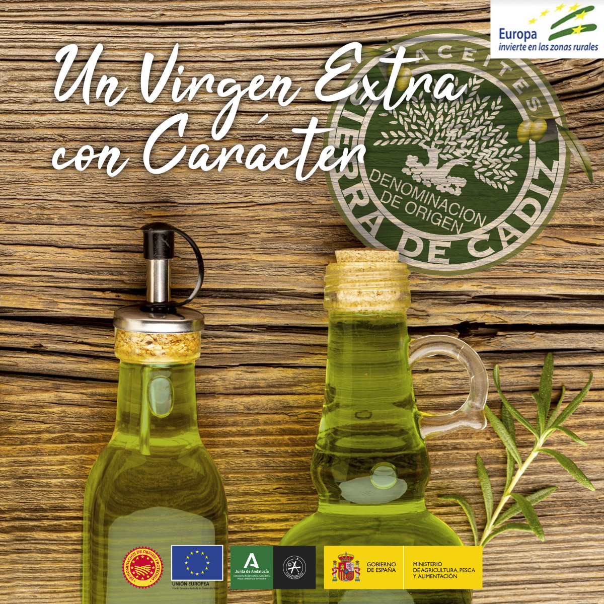 Descubre los AOVE con características únicas certificados por la Denominación de Origen Sierra de Cádiz. 

La variedad lechín representa casi el 50% de los olivares protegidos. ¡Una variedad vigorosa y resistente para suelos calizos! 🌿🌱 #DenominaciónDeOrigen'