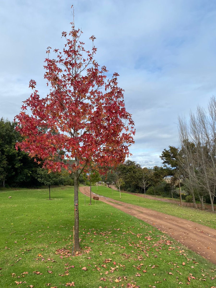 Pat Busch Reserve tweet media