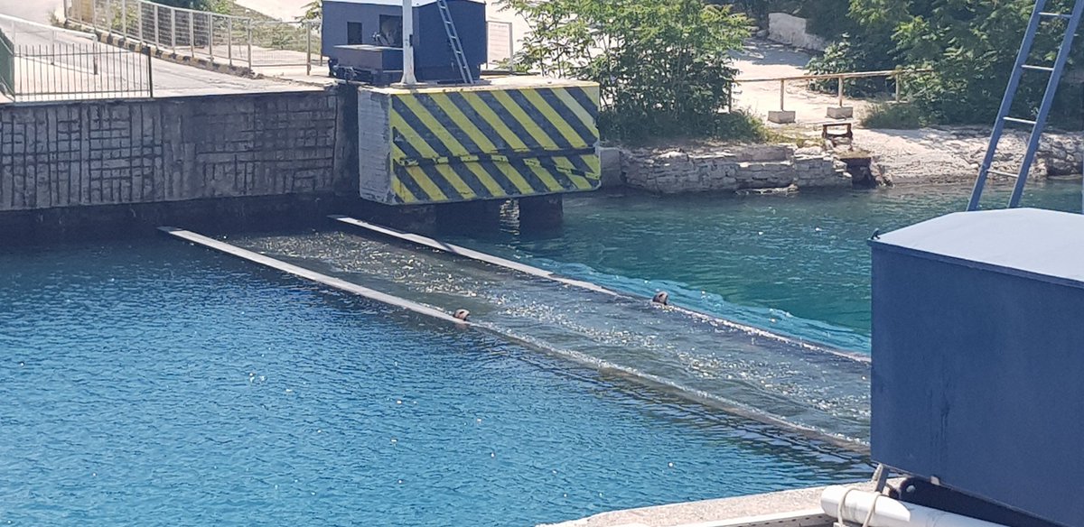 Mark Combes tweet media