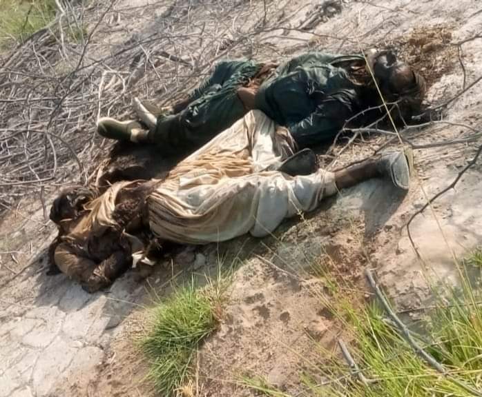 Meerak_Meeroo's tweet photo. Tortured bodies of 2 people have been found in the forest of Nasirabad ​​Turbat city of #Balochistan which has been shifted to the hospital for identification. It is feared that the bodies may be those of missing persons who were martyred &amp; dumped under the #KillAndDump policy 💔 https://t.co/bNyB83gJzG