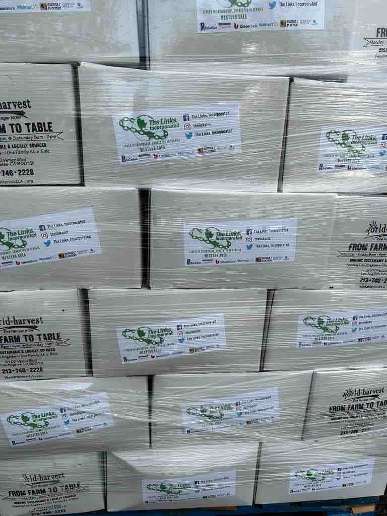 HACLinks's tweet photo. Our day began with service…Kudos to HAC member Krystal Thorp-Ricks who served as conference community service project co-chair.  Hundreds of LA’s residents received bags of fresh food. Service is what we do 💚#harborarealinks #haclinks #waconference #walinks https://t.co/3kVtjluP7m