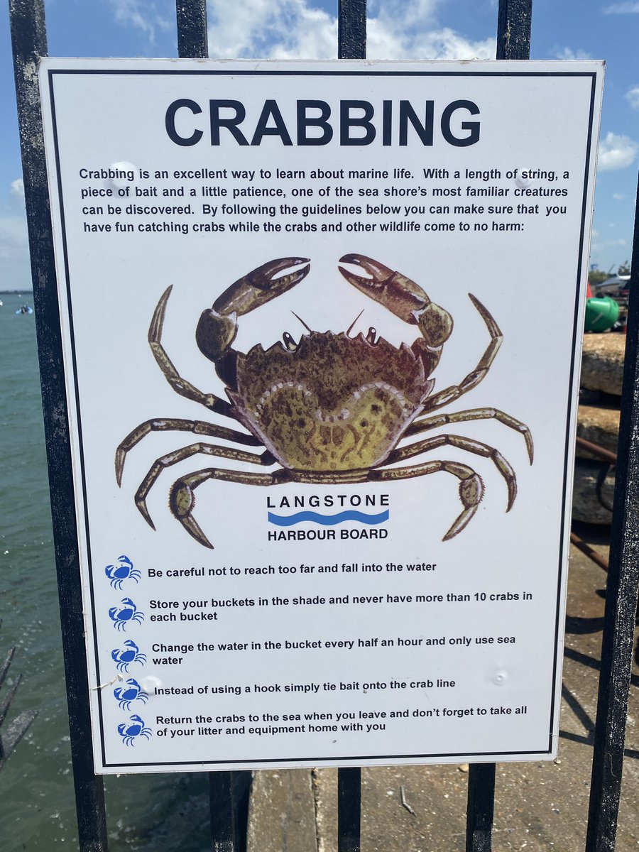 How to get two monosyllabic grunting teenagers squealing with excitement - take them crabbing! #HalfTerm #seaside #simplepleasures #childhood