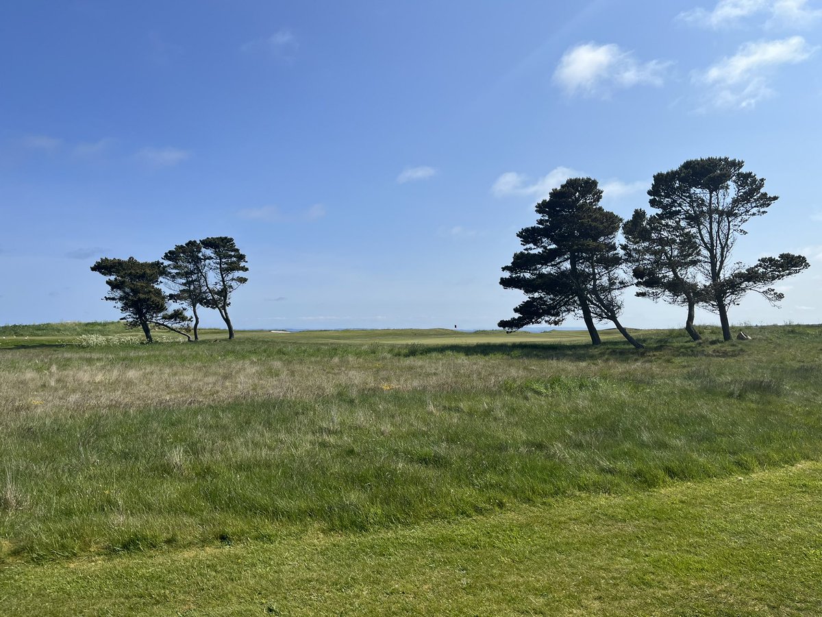 Twilight golf at its finest ⛳️ 

#highlands #dornochfirth #sunshine #summergolf #beautiful