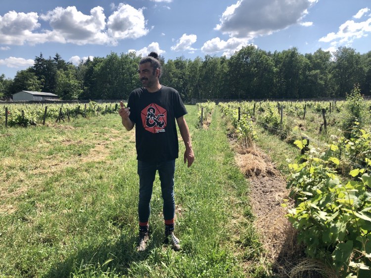 letastingroom's tweet photo. What's been going on in the Loire in May 2023? - https://t.co/9NykO8vUl4
Countdown to flowering, strawberries &amp; apricots, British beer and lots of guests this month as the growers work the soil and remove excess shoots in the vineyards. https://t.co/vyF38PAxFL