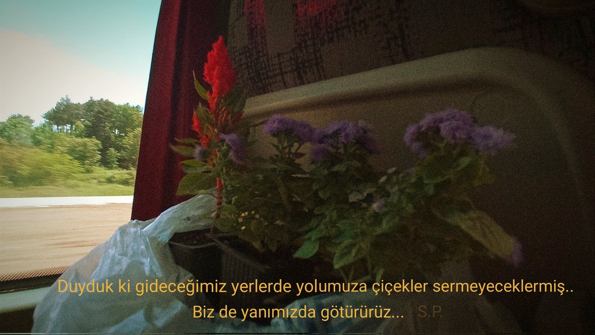 senapk2's tweet photo. Uzun zaman sonra mekâna giriş şeklim ;) https://t.co/dNDslESHHd