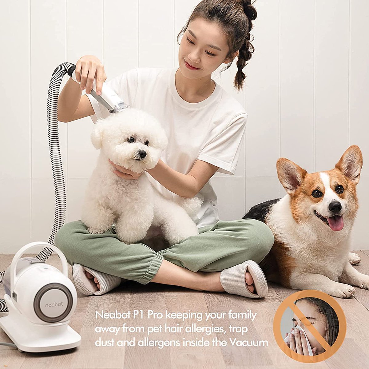 topteneverworld's tweet photo. Unleashing the Power of Grooming Vacuum: The Perfect Solution for Pet Owners.
Read Full Review Here: https://t.co/RNQVGebsdT
#grooming #GroomingVacuum #doggrooming #groomingreviews #Critical #KimJongUn #Raven #3rdofJune #StolzStattPride #Ortega https://t.co/P4cGYVumSR