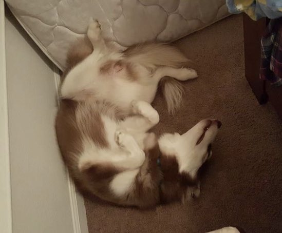 FLASH POINT tweet media