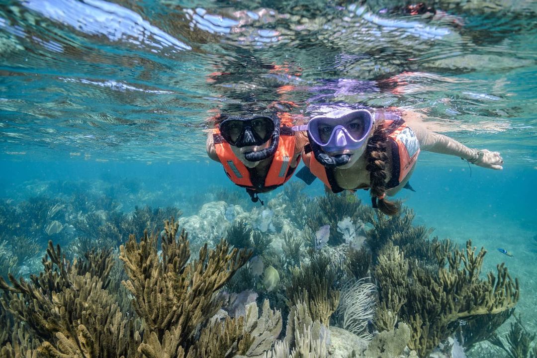 GoPuertoMorelos's tweet photo. El 𝗮𝗿𝗿𝗲𝗰𝗶𝗳𝗲 está tan cerca de las costas de Puerto Morelos que puedes llegar a ellos para #snorkelear nadando desde la playa.💦🏊
❤️ si te animas a explorar este singular mundo marino.
🌐: https://t.co/yqbxiuUYAC
📸: tamaraunderwater vía IG
#CaribeMexicano https://t.co/uplELJ9O0e