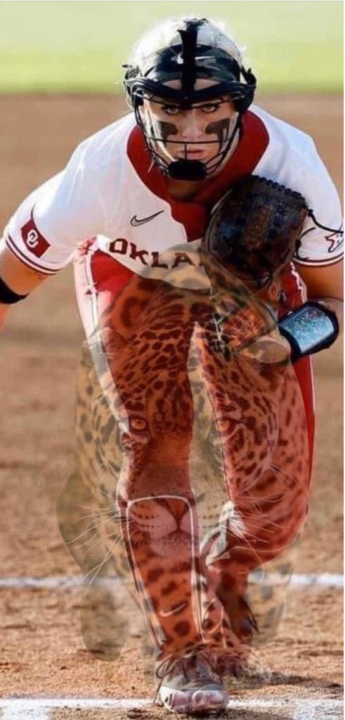 mightymouse0410's tweet photo. @RockonSooner @MaceyTurley @OU_Softball I would have to agree with you!!! https://t.co/HTXgvbCCUS