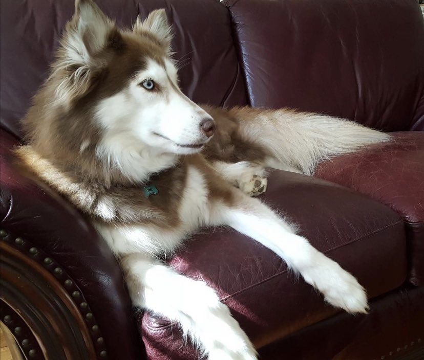 FLASH POINT tweet media