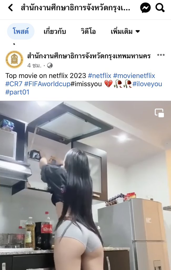 กุ๊กต่ายน้อย บนดอยสูง tweet media