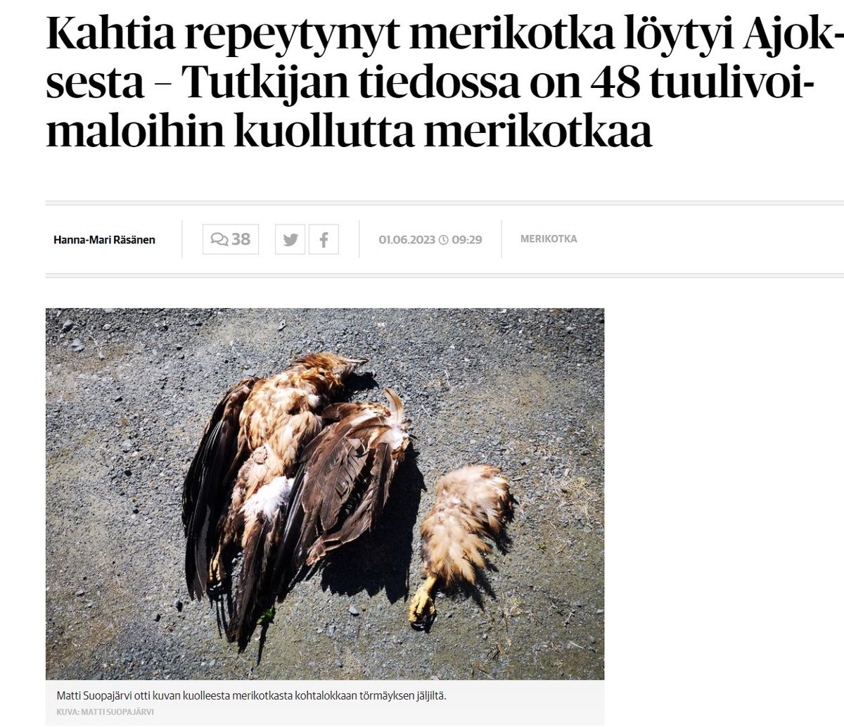 Vihreiden ehdokkaana ollut Elisa Aaltola kirjoittaa twiitin, kun lehmä on jäänyt auton alle rallissa. Siitä, kun 48 merikotkaa kuolee tuulivoimaloihin, en löytänyt mitään kirjoitusta.

Minua alkaa oikeasti tympiä tämä vihreiden jeesustelu. Eivät nämä ole mitään ympäristöihmisiä.
