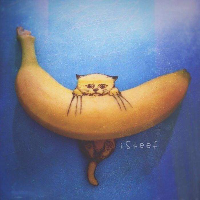 LisaGardi02's tweet photo. هونەرمەندی هۆڵەندی ستیفان بروش مۆز دەکاتە بەرهەمی هونەری سەرسوڕهێنەر https://t.co/EpQkROiDNH