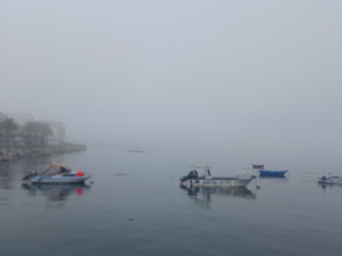 Carlos35418969's tweet photo. Buenas tardes desde Corme .
Totalmente cerrado de niebla en esta tarde de sábado 3 de Junio .
@CeosGalegos #neboa #niebla @MeteoGalicia @OTempoTVG https://t.co/6GCeYfUNyb