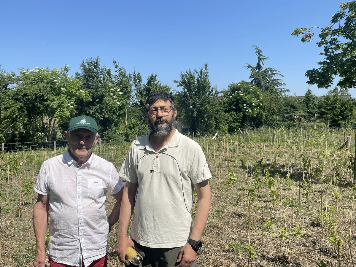 HeleneCruyp's tweet photo. 6 mois après, les bénévoles ont bien pris le relai pour l’entretien !👏👏
Journée de désherbage aujourd’hui, les 1800 plants sont sous bonne garde 💪
Ça pousse, ça pousse !
Bravo et merci aux habitants qui prennent soin de cette mini-forêt en devenir !
#angers #AngersSuperNature https://t.co/3x9PTnbB36