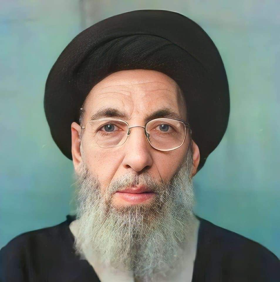 السيد #السيستاني يحدثنا إستاذه السيد محسن الحكيم
《وانا مثلا تتلمذت عند الكثير من الأساتذة في مشهد والنجف #وكان لكل أستاذ شيء يتميز به ، وكان بعضهم أشد تاثيرا من بعض رغم أن لكل واحد منهم ما ينفرد به ويميزه عن غيره 
 #وممن كان له عظيم الأثر في نفسي هو السيد #محسن_الحكيم (قدس سره)