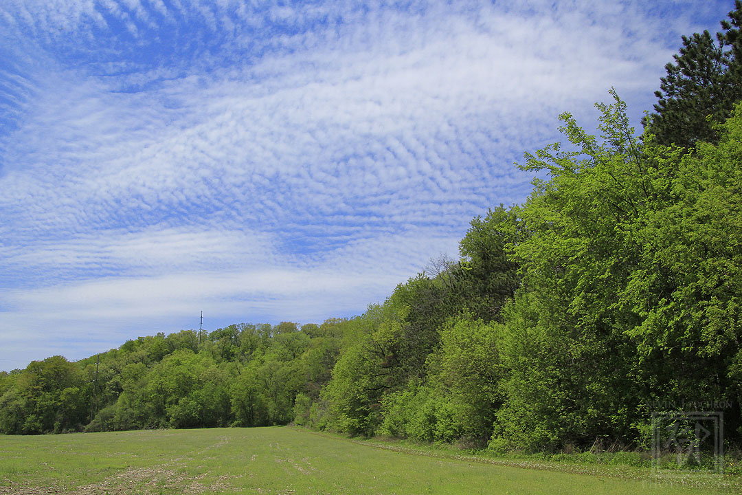 Black Earth Creek Sunnyside Unit Dane County Wildlife Area in- saw These funky clouds. (5-18-2018) #KevinPochronPhotography #kjpphotography #Canon #CanonFavPic #ShotOnCanon #Canon60D #Photography #LandscapePhotography #NaturePhotography #nature #sky #trees  #lake #Wisconsin