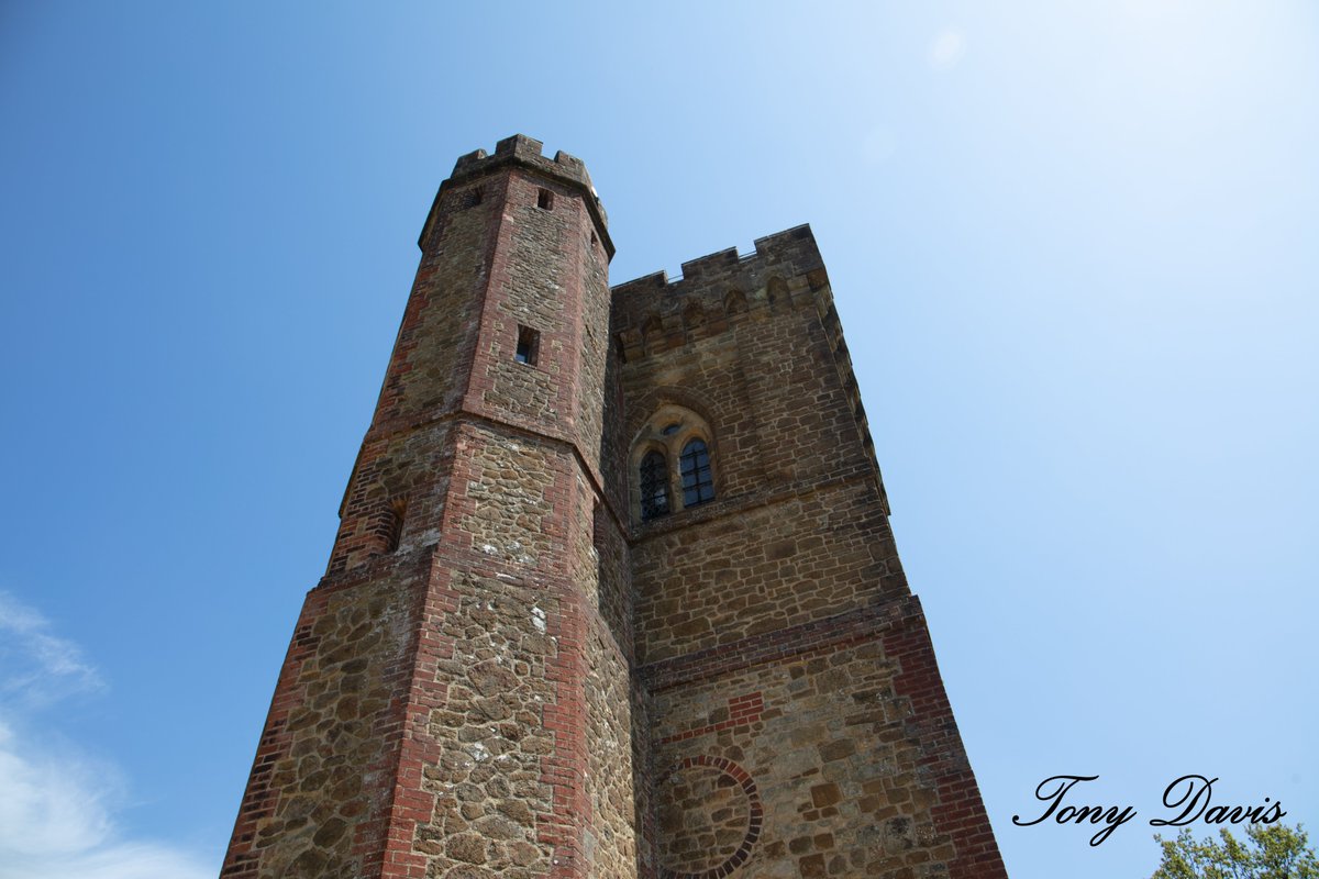 TonyDavis1956's tweet photo. No birding today but a 10km #walk that included the highest point in SE England #LeithHill #LeithHillTower #SurreyLife #OutdoorPhotography https://t.co/6YsURbIwKH