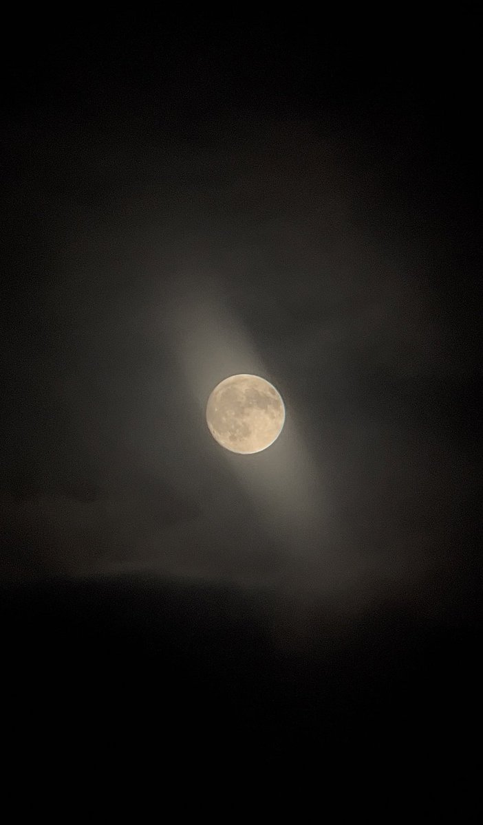 yvsmin_'s tweet image. told u