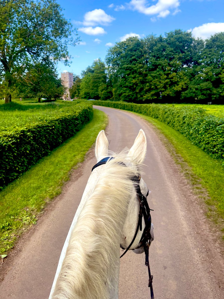 JockeyRach's tweet photo. Where else on a day like today than behind some ears π΄βοΈ
Ex-Racehorse Pistol Desbois taking in the scenery on his first day out in over a month. Pistol is enjoying retirement from racing with owner Alex doing Dressage & Hacking.
#blackgroundsequine
#fulllivery
#lifeafterracing https://t.co/D9rGQYi7MG
