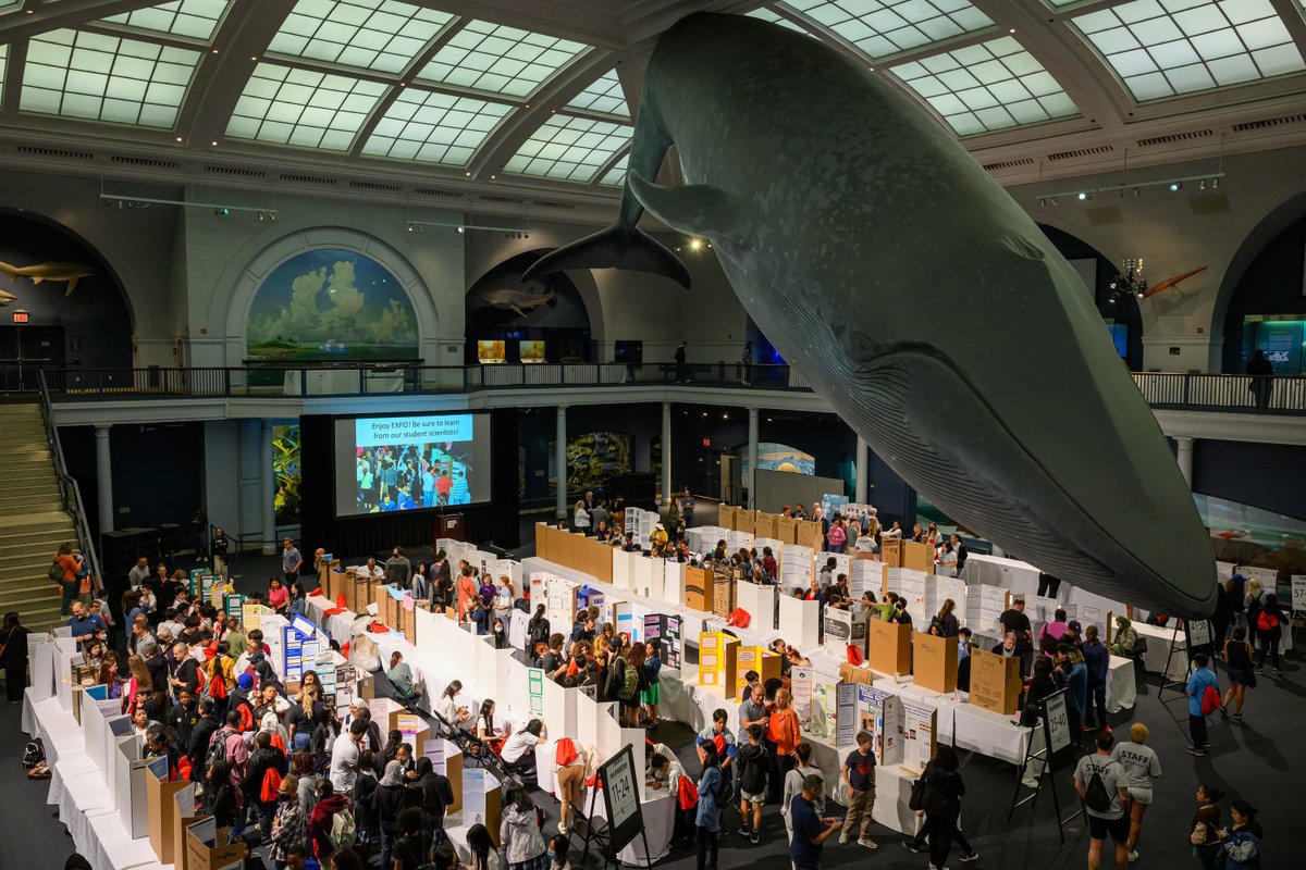 📣Today the Museum is hosting one of the largest science expo events in NYC! We’d like to welcome the 400+ elementary and middle school students presenting their work in the Hall of Ocean Life as part of the Urban Advantage Program, which is celebrating its 19th anniversary.