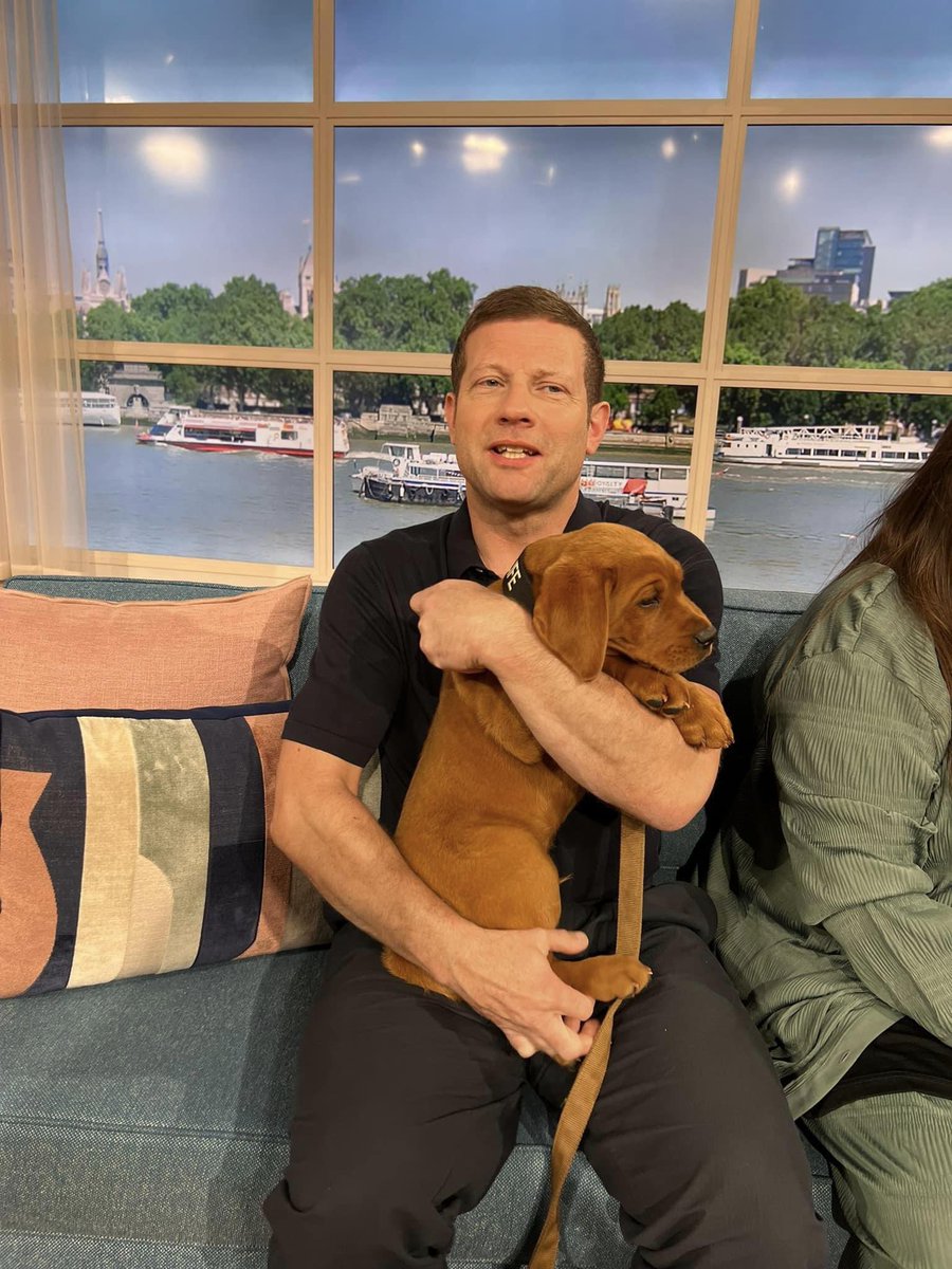 Dogs4Wildlife tweet media
