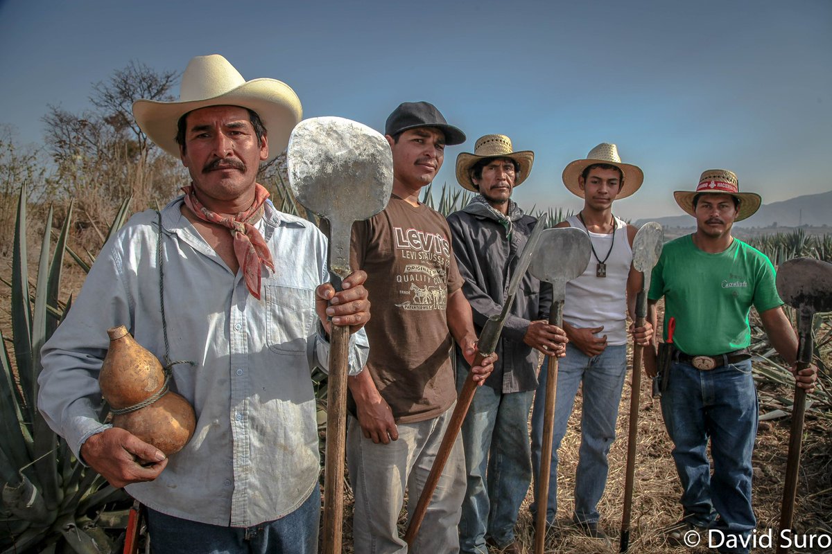 David Suro-Piñera tweet media