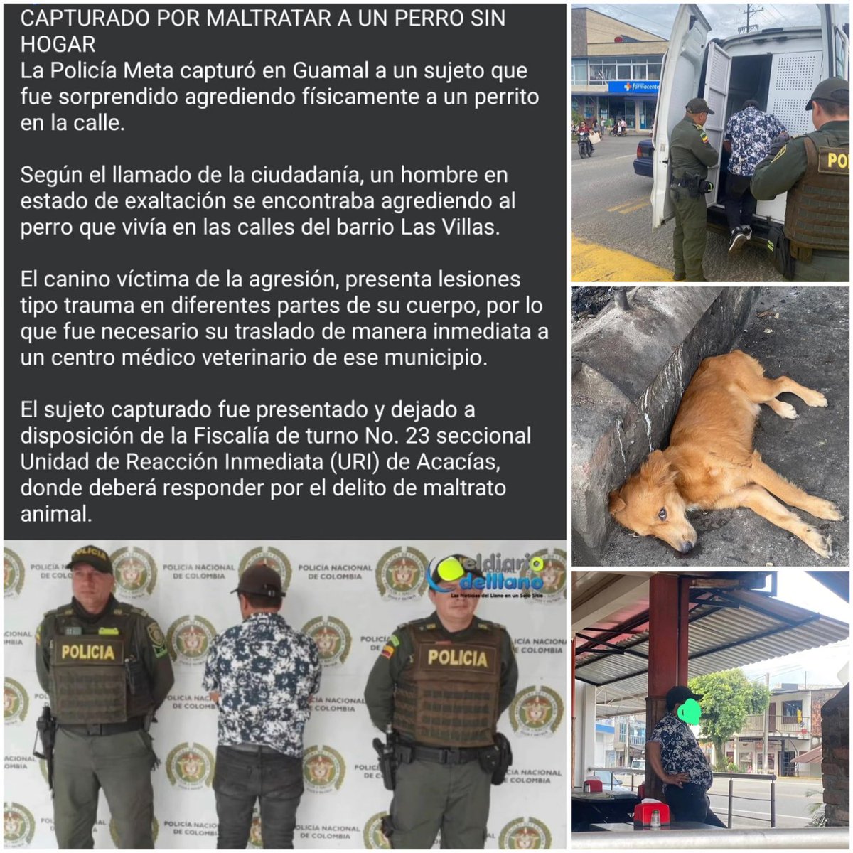 GabrielaVarP's tweet photo. 🔴🟢Este engendró fue capturado por @PoliciaMeta en el #Guamal, asadero el #Tablazo, el 🐶se llevó un pedazo de🥩 y este barrigón golpeó al peludito hasta dejarlo inmóvil. Gracias a la #comunidad que impidió el asesinato  y avisaron a la👮‍♀️. NO DEJEN LIBRE AL GORDO MALTRATADOR🙏 https://t.co/wAky8gRWq9